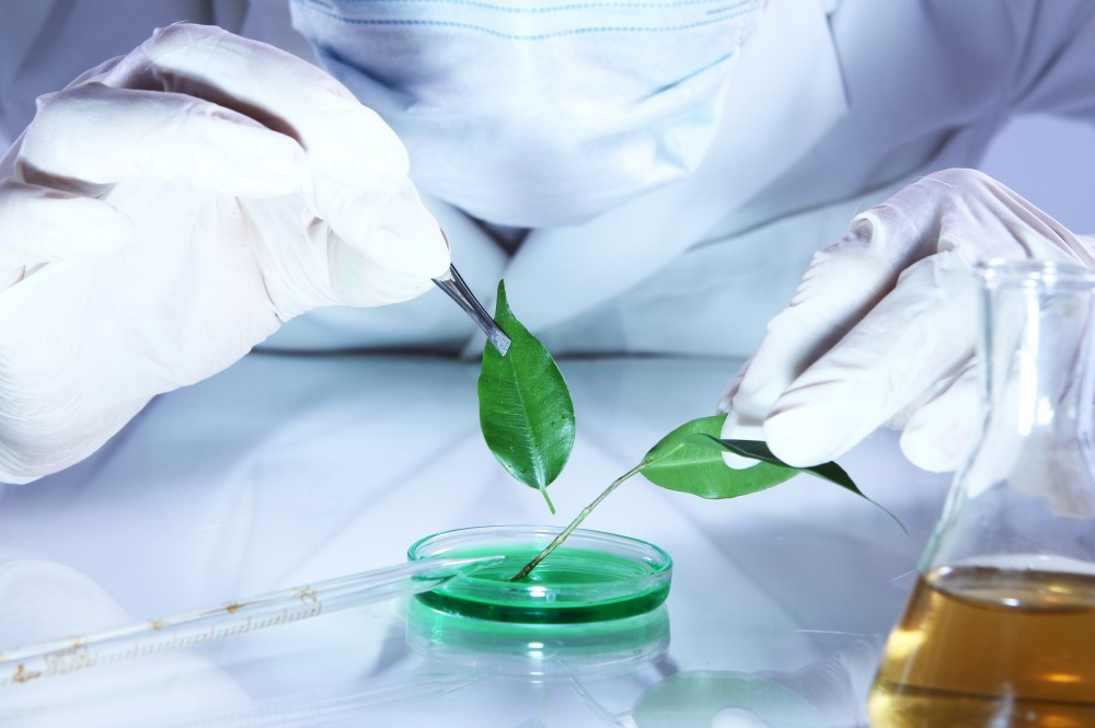 Green Cleaning Chemical Supplier and Manufacturer in Dubai, UAE: Hygiene Links Leading the Way