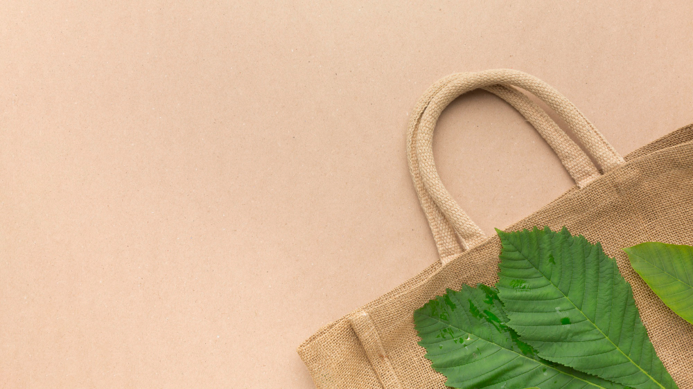 Eco-Friendly Plastic Bags: A Real-World Solution to a Global Problem