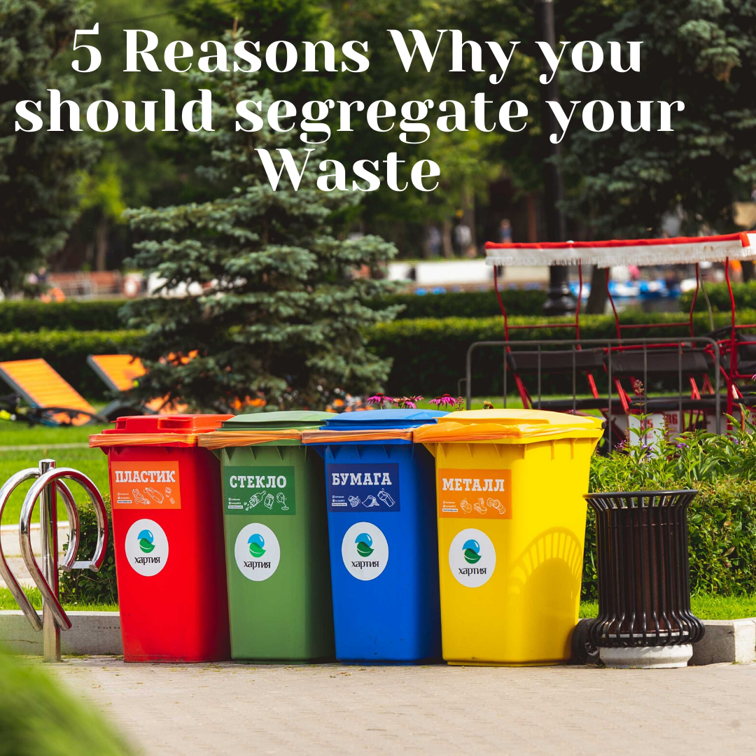 5 Reasons Why you should segregate your Waste